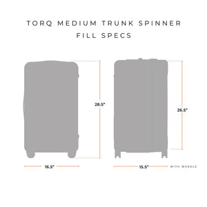 Briggs & Riley - Torq - Medium Trunk Spinner